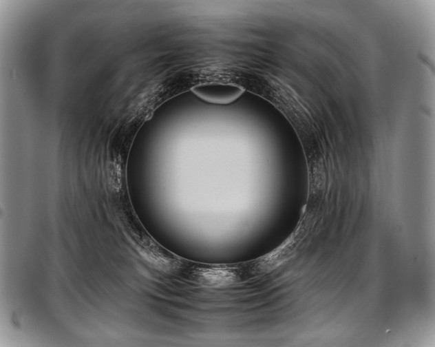 X0000097640183200802291414