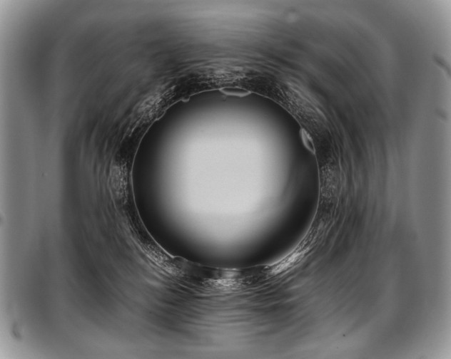 X0000097640184200802291414