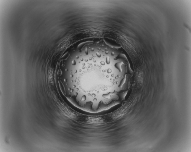 X0000097640185200802291414