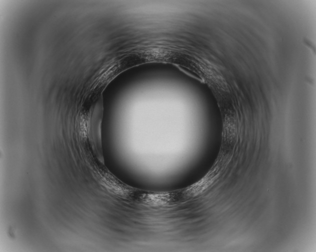 X0000097640188200802291414