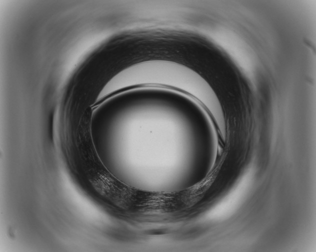 X0000097640190200802291414