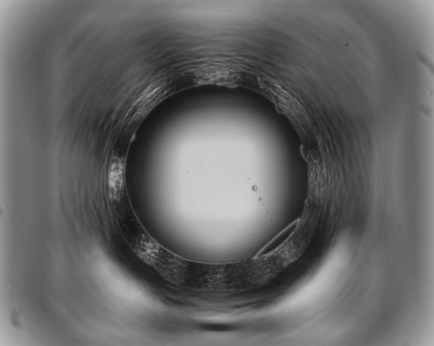 X0000097640191200802291414