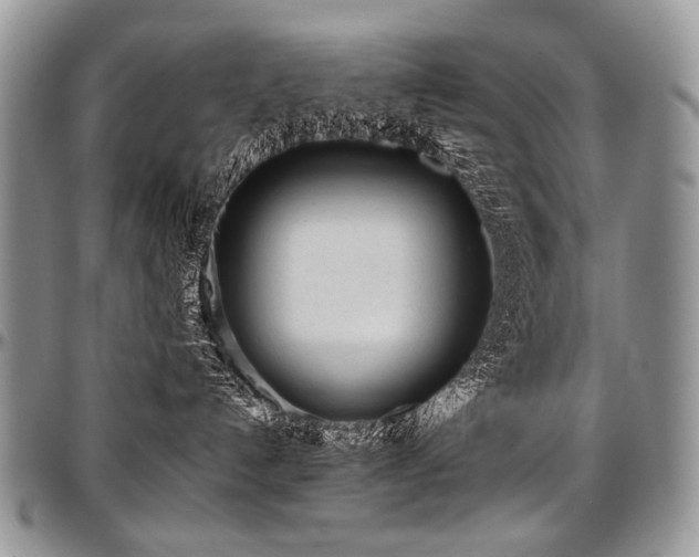 X0000097640192200802291414