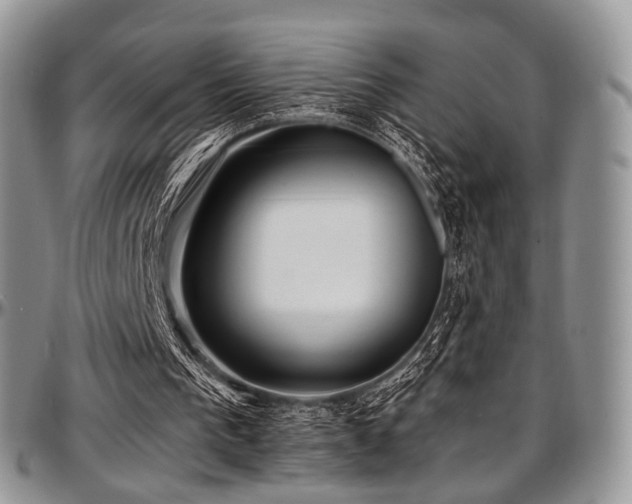 X0000097640193200802291413