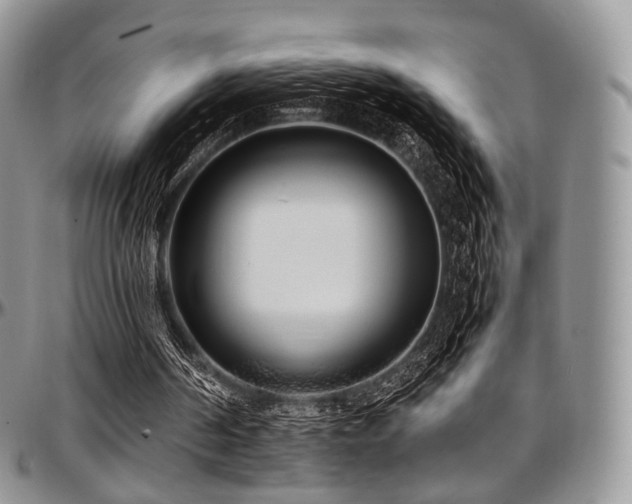 X0000097640194200802291413