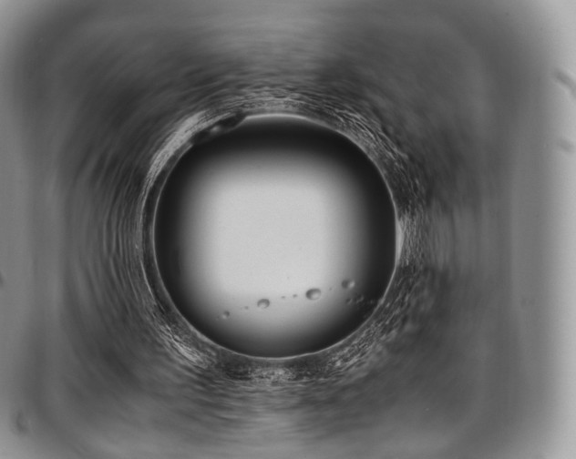 X0000097640195200802291413