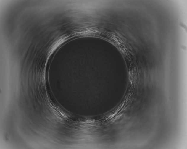 X0000097640196200802291413