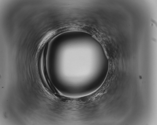 X0000097640197200802291413