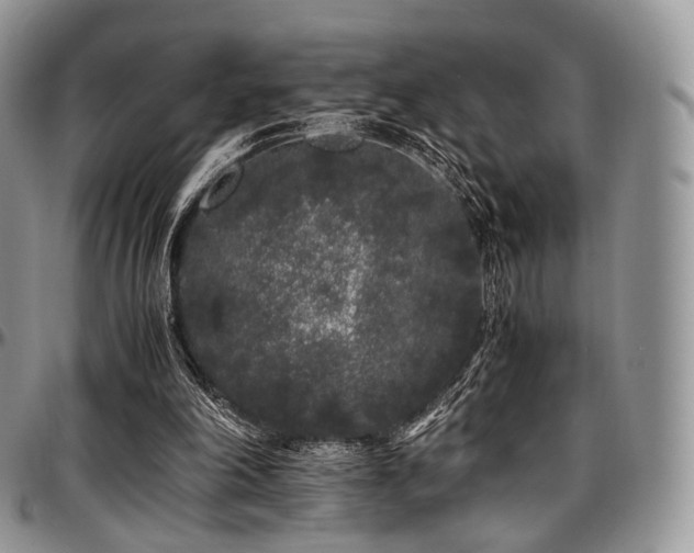 X0000097640198200802291413