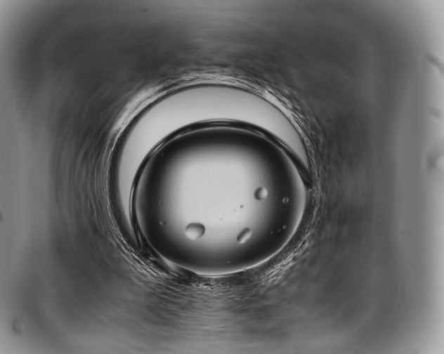 X0000097640199200802291413