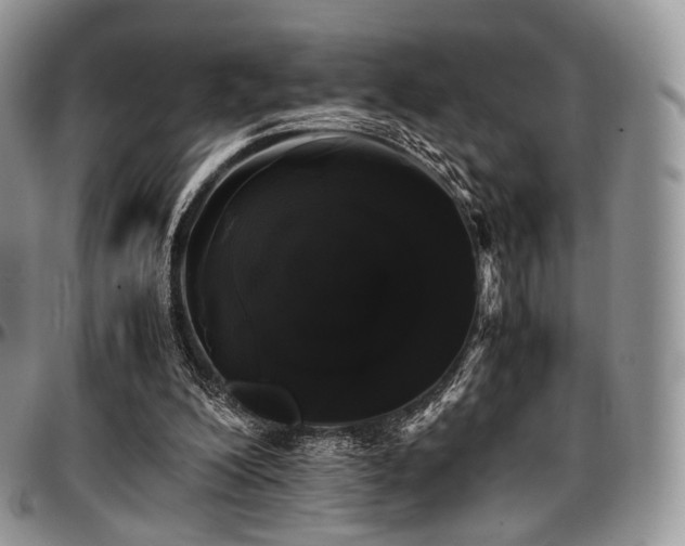 X0000097640200200802291413