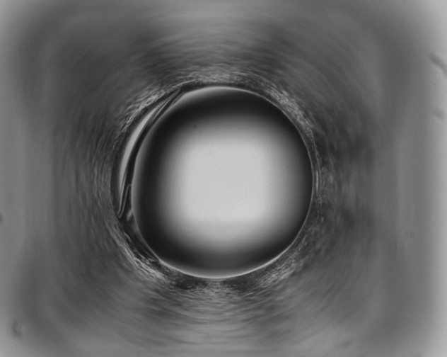 X0000097640201200802291413