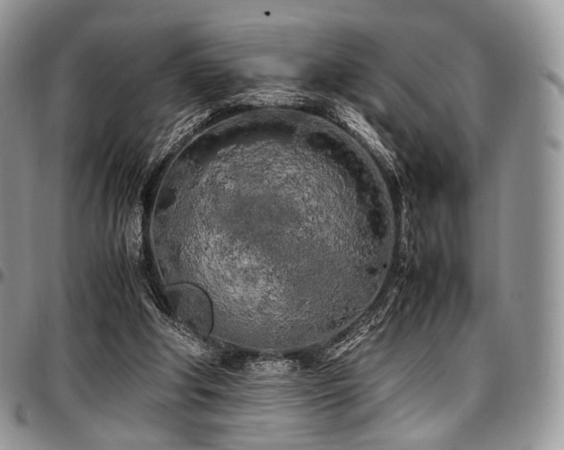 X0000097640202200802291413