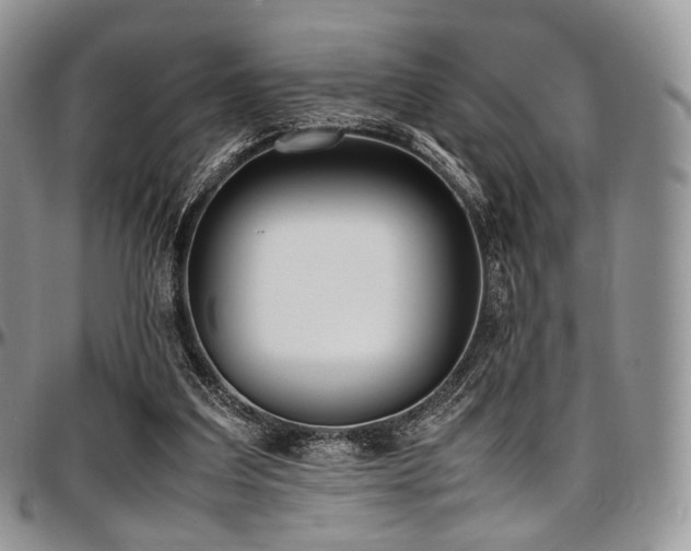 X0000097640203200802291413