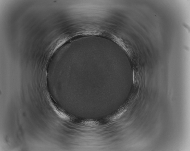 X0000097640205200802291413