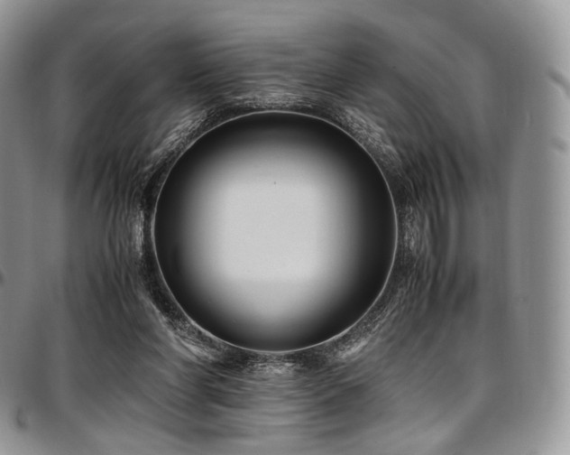 X0000097640206200802291413