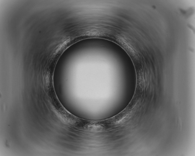 X0000097640208200802291413