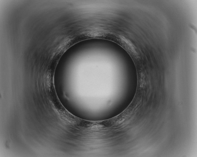 X0000097640210200802291413