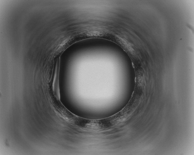 X0000097640211200802291413