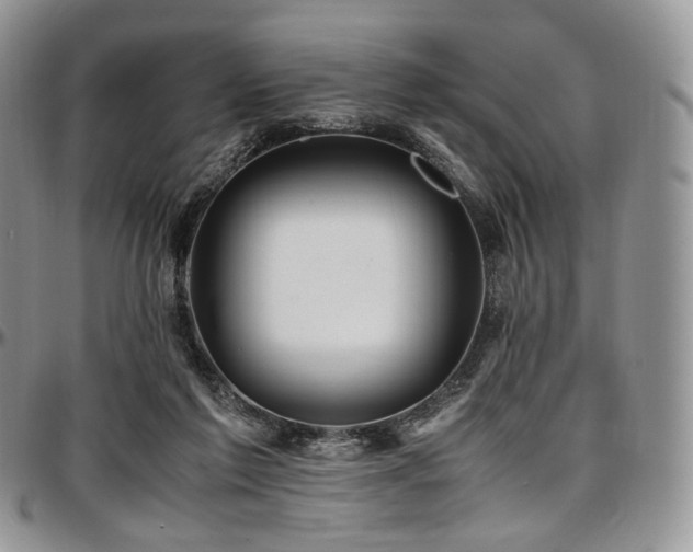 X0000097640213200802291413