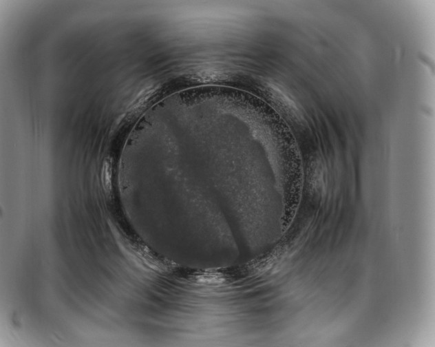 X0000097640214200802291413