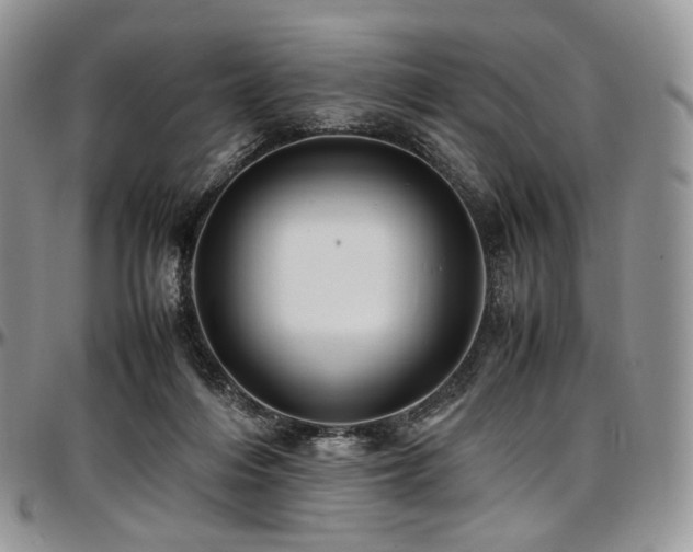 X0000097640216200802291413