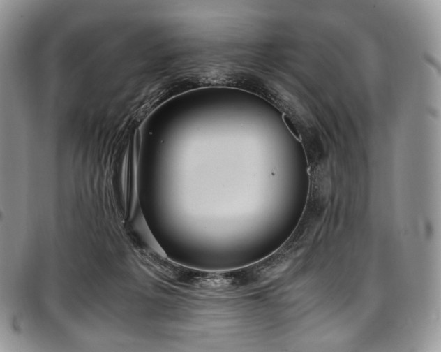 X0000097640217200802291413