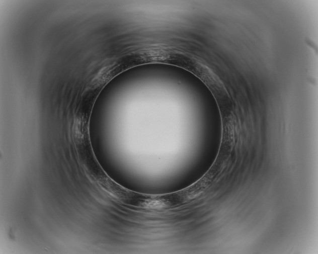 X0000097640218200802291413