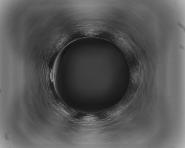 X0000097640219200802291413