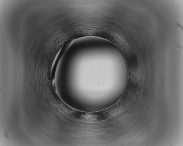 X0000097640221200802291413