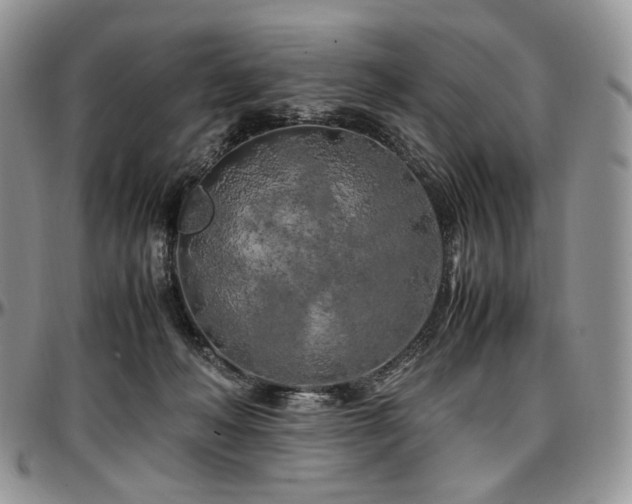 X0000097640222200802291413