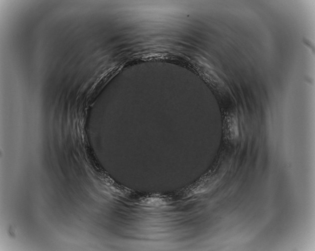 X0000097640224200802291413