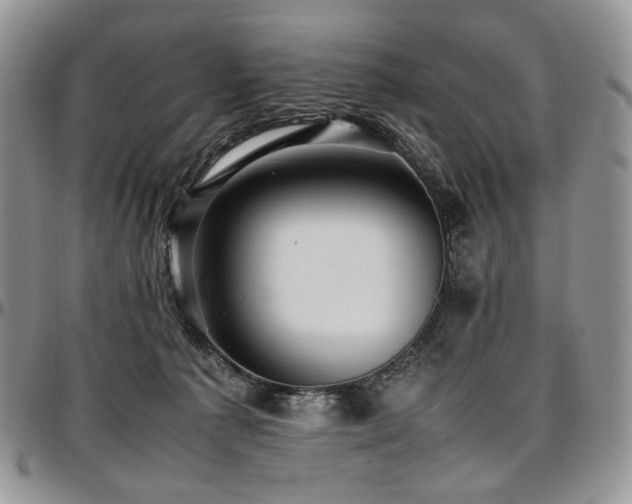 X0000097640225200802291413