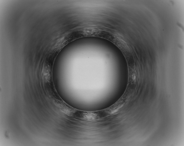 X0000097640226200802291413