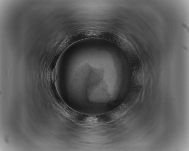 X0000097640227200802291413