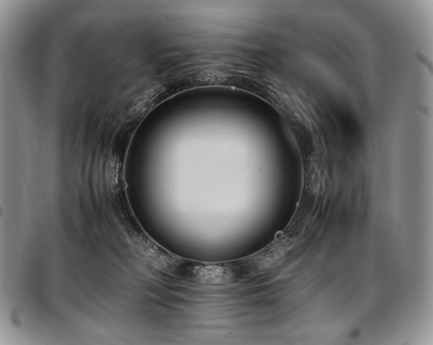 X0000097640230200802291413