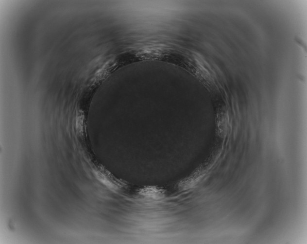 X0000097640231200802291413