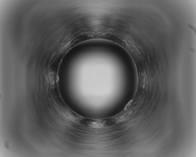 X0000097640232200802291412