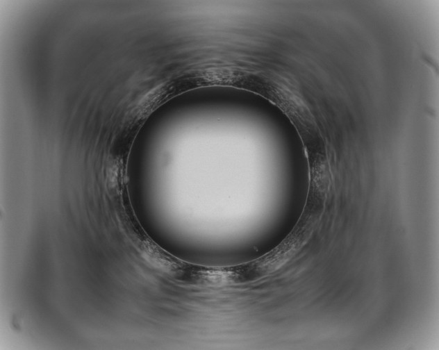 X0000097640233200802291412