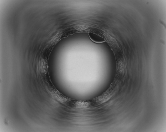 X0000097640234200802291412