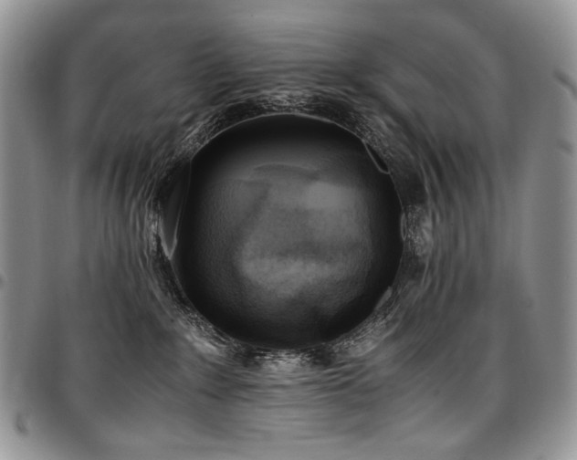 X0000097640235200802291412