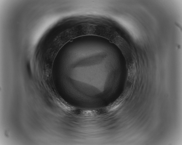 X0000097640239200802291412