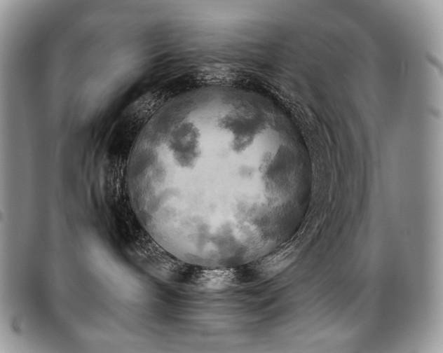 X0000097640240200802291412