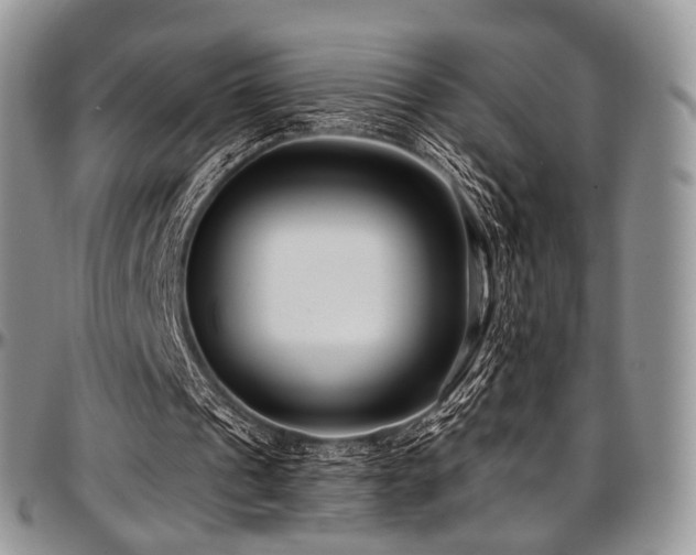 X0000097640241200802291411