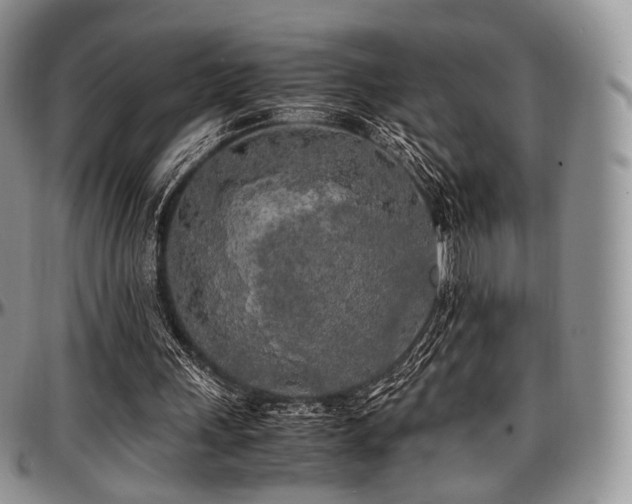 X0000097640243200802291412