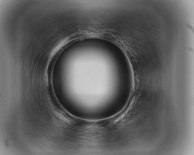 X0000097640246200802291412