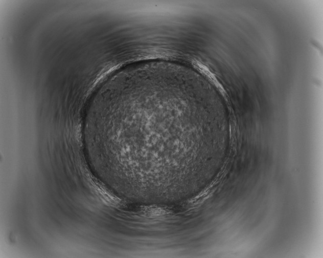 X0000097640249200802291412