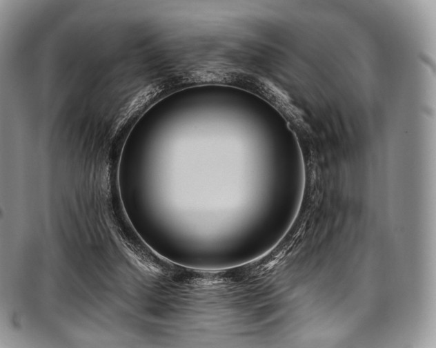 X0000097640250200802291412