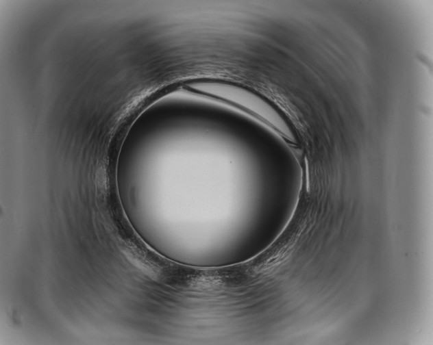 X0000097640252200802291412