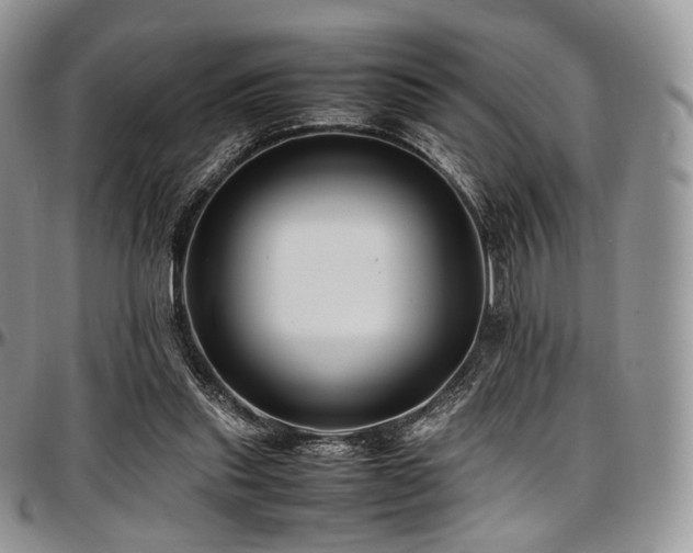 X0000097640253200802291412